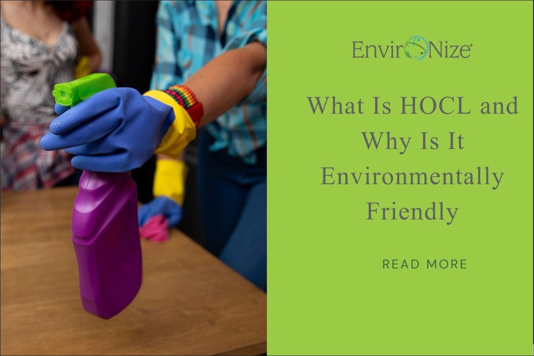 An image of a hand in a blue and yellow glove holding a purple spray bottle, next to the blog title, and  a 'Read More' button.