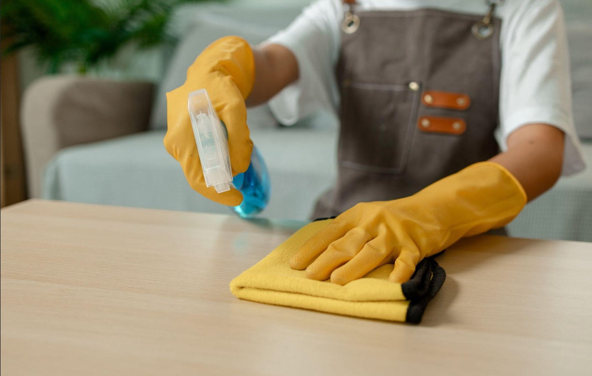 Home & Kitchen Cleaning – EnviroNize
